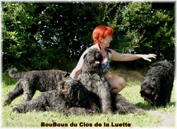 Elevage du CLOS DE LA LUETTE - COPYRIGHT DEPOSE